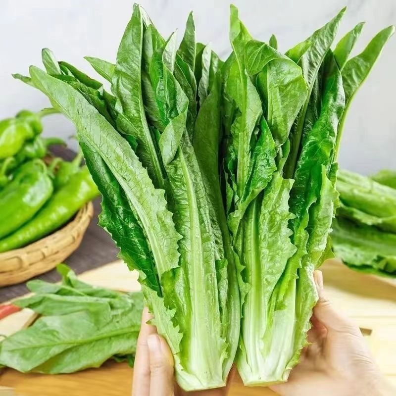 物流公司之间的博弈:枝江货运公司如何突围